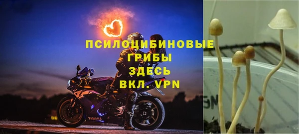 прущие крисы Алексеевка